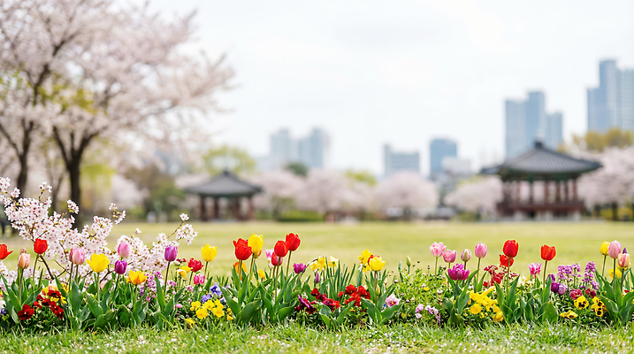 JPG 나무 편집이미지 공원 꽃 여유 꽃밭 봄꽃 모션 자연 풍경 여러명 고층빌딩 봄 산책 튤립 벚꽃 편집실사 AI포토 AI콘텐츠 식물 계절 공공시설 감정 다수 휴식 사람 빌딩 CG 생태계 파일형식