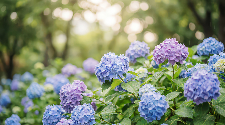 JPG 나무 식물 편집이미지 꽃 화초 컬러 꽃밭 자연 풍경 여름 파란색 정원 보라색 수국 편집실사 AI컴퓨터그래픽 AI콘텐츠 계절 CG 생태계 파일형식