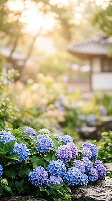 JPG 식물 편집이미지 전통 꽃 화초 자연 아침 풍경 건물 초록색 햇빛 정원 공간 위치 수국 뷰티풀 편집실사 AI컴퓨터그래픽 AI콘텐츠 주간 건축물 컬러 태양 CG 생태계 파일형식