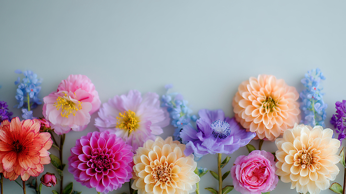 식물 계절 컨셉 CG 생태계 파일형식 AI콘텐츠 꽃 봄 백그라운드 컬러 줄 생동감 종류 대칭 화초 자연 조화 아기자기 편집이미지 편집실사 JPG AI포토