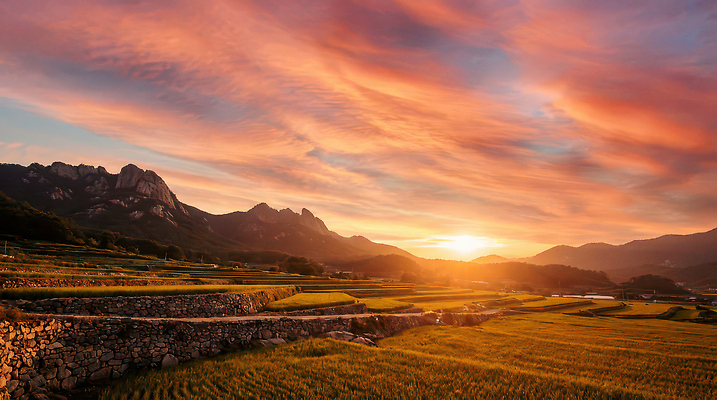 자연요소 밭 농업 논 노을 일몰 시골 야간 CG 생태계 파일형식 AI콘텐츠 태양 저녁 풍경 논밭 산 하늘 농작물 황혼 자연 농사 컬러 농촌 땅 편집이미지 편집실사 JPG AI포토