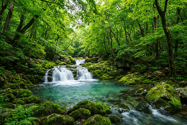 자연요소 식물 컬러 컨셉 자연 숲 CG 생태계 경기도 파일형식 AI콘텐츠 강 물 나무 소리 파란색 흐름 수원 풍경 생명 숲속 편집이미지 편집실사 JPG 폭포 AI포토