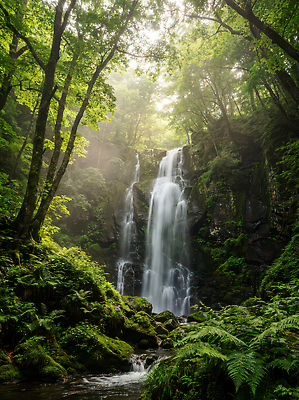 자연요소 식물 계절 컨셉 자연 날씨 숲 CG 생태계 파일형식 AI콘텐츠 폭포 나무 물 안개 풍경 산 흐름 숲속 여름 편집이미지 편집실사 JPG AI포토