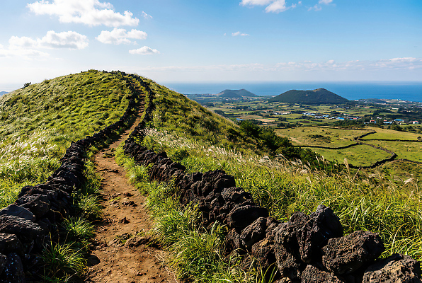 JPG 편집이미지 길 바다 여행 자연 산 풍경 제주도 걷기 산책 트래킹 편집실사 AI포토 AI콘텐츠 모션 레저 휴식 한국 CG 생태계 파일형식