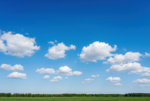 JPG 식물 구름 편집이미지 이동 자연 하늘 날씨 사람 풍경 초원 야외 일상 초록색 흰구름 편집실사 AI컴퓨터그래픽 AI콘텐츠 자연요소 컬러 컨셉 라이프 CG 생태계 파일형식 구름_자연