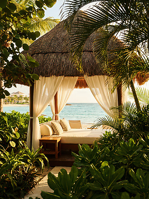 JPG 식물 편집이미지 바다 여행 자연 리조트 휴식 해변 여름 야자수 햇빛 공간 고급 선탠 편안함 시원함 그늘막 편집실사 AI포토 AI콘텐츠 나무 계절 컨셉 태양 감각 그늘 CG 생태계 파일형식