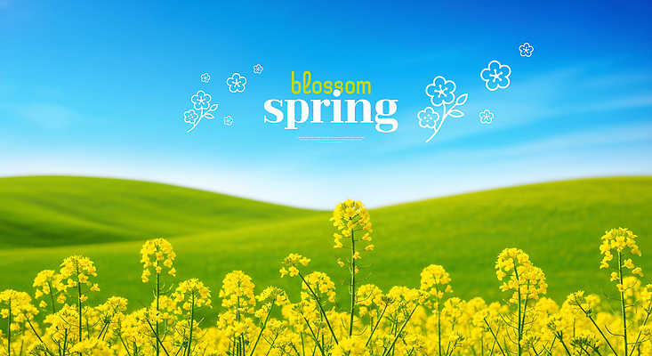 PSD 식물 편집이미지 계절 꽃 백그라운드 자연 하늘 날씨 풍경 초원 농장 노란색 봄 이미지편집 컬러 농업 생태계 파일형식