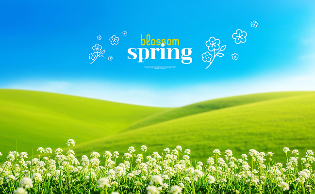 PSD 식물 편집이미지 꽃 꽃밭 자연 하늘 날씨 풍경 초원 맑음 봄 칼날 언덕 이미지편집 계절 생태계 파일형식