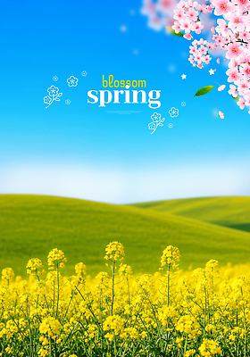 PSD 식물 편집이미지 계절 꽃 꽃밭 자연 하늘 풍경 초원 햇빛 봄 벚꽃 땅 유채 이미지편집 태양 생태계 파일형식