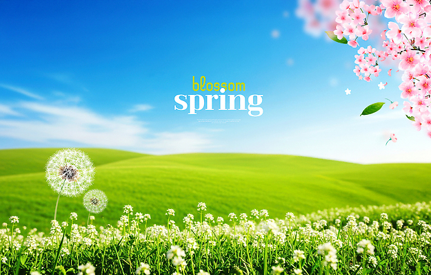 PSD 편집이미지 꽃 꽃밭 자연 하늘 풍경 초원 파란색 햇빛 봄 민들레 언덕 청명 이미지편집 식물 계절 컬러 태양 생태계 파일형식