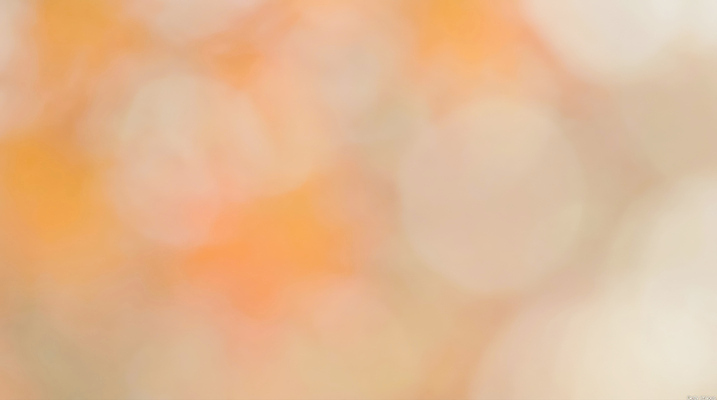 편집이미지 컬러 백그라운드 컨셉 무늬 날씨 감각 생태계 보케 파일형식 AI콘텐츠 주황색 빛 흐림 모양 감정 화사함 공간 패턴 자연 편안함 이미지편집 JPG 보케백그라운드 AI컴퓨터그래픽