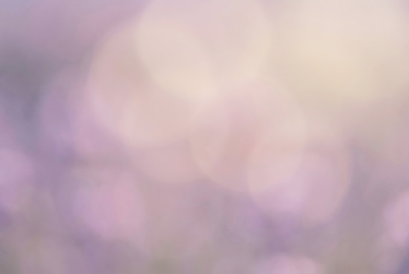 편집이미지 컬러 백그라운드 컨셉 무늬 날씨 생태계 보케 파일형식 AI콘텐츠 보라색 빛 흐림 점 반사 장면 패턴 형상 분위기 자연 디자인 이미지편집 JPG 보케백그라운드 AI컴퓨터그래픽