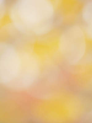 주간 편집이미지 컬러 백그라운드 날씨 생태계 보케 파일형식 AI콘텐츠 자연 흐림 따뜻함 장면 빛 노란색 빨간색 풍경 색채 조화 아침 이미지편집 JPG 보케백그라운드 AI컴퓨터그래픽