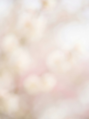 식물 편집이미지 계절 공공시설 백그라운드 날씨 생태계 보케 파일형식 AI콘텐츠 봄 꽃 자연 흐림 생명 컬러 따뜻함 만개 장면 밝음 나무 잎 공원 이미지편집 JPG 보케백그라운드 AI컴퓨터그래픽