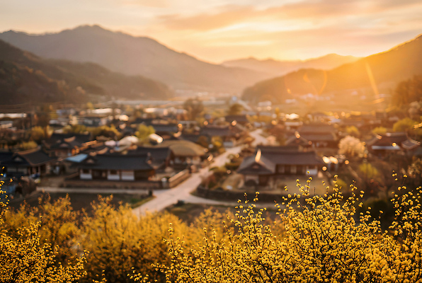 자연요소 식물 계절 꽃 한옥 건물 태양 마을 노을 야간 CG 생태계 파일형식 AI콘텐츠 봄 저녁 산 주택 풍경 햇빛 자연 일몰 거리 가로수 촬영 편집실사 편집이미지 JPG 한옥마을 산수유 AI포토