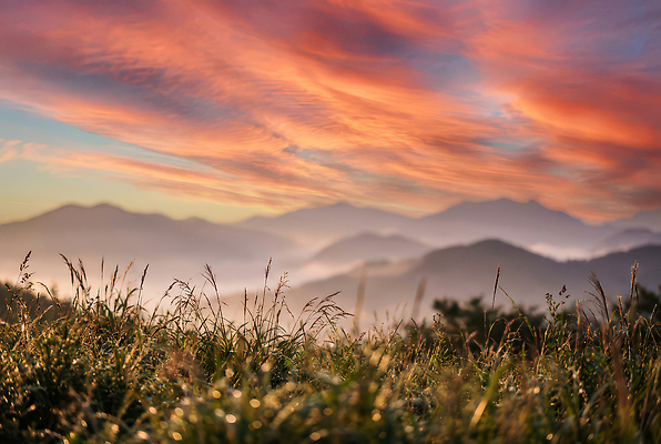 주간 자연요소 컬러 날씨 노을 CG 생태계 파일형식 AI콘텐츠 일출 산 하늘 분홍색 주황색 초원 자연 풍경 아침 맑음 바람 새벽 조용 대기 편집실사 편집이미지 JPG AI포토