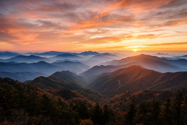자연요소 식물 계절 노을 CG 생태계 파일형식 AI콘텐츠 태양 산 풍경 정상 일몰 자연 컬러 하늘 윤곽 여름 날씨 수평선 나무 편집실사 편집이미지 JPG 일출 AI포토