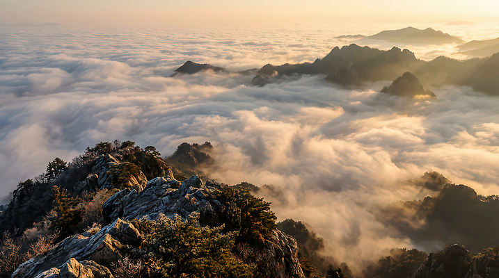 자연요소 식물 컨셉 날씨 노을 야간 CG 생태계 파일형식 AI콘텐츠 산 태양 지평선 풍경 자연 바람 하늘 저녁 높이 나무 컬러 변화 편집실사 편집이미지 JPG 일출 AI포토