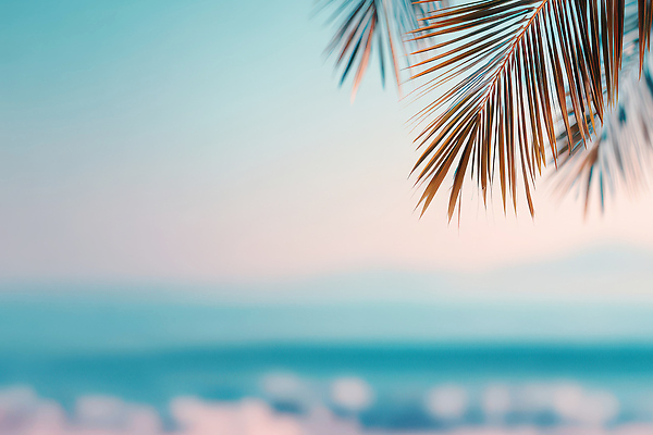 자연요소 편집이미지 계절 바다 컬러 컨셉 잎 날씨 태양 노을 생태계 파일형식 AI콘텐츠 나뭇잎 해변 자연 바람 물결 하늘 풍경 여름 햇빛 초록색 일몰 자유 평화 JPG 백그라운드 이미지편집 AI컴퓨터그래픽