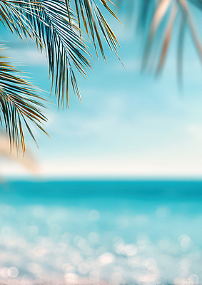 자연요소 나무 편집이미지 계절 바다 컬러 컨셉 날씨 태양 생태계 파일형식 AI콘텐츠 야자수 해변 여름 자연 파란색 햇빛 휴가 풍경 수평선 휴식 감정 맑음 물 JPG 백그라운드 이미지편집 AI컴퓨터그래픽