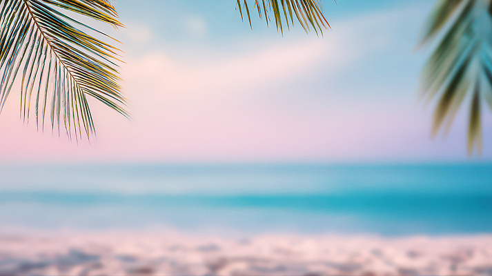 자연요소 나무 식물 편집이미지 감정 바다 날씨 노을 수중식물 생태계 파일형식 AI콘텐츠 해변 야자수 잎 일몰 하늘 산호초 조용 자연 여유 여행 섬 풍경 바람 JPG 백그라운드 이미지편집 AI컴퓨터그래픽