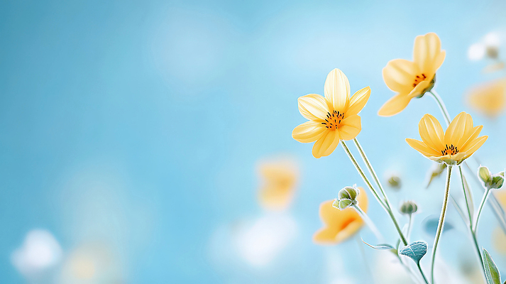 JPG 식물 편집이미지 꽃잎 꽃 줄기 백그라운드 봄꽃 자연 하늘 생명 정원 봄 밝은색 편집실사 AI컴퓨터그래픽 AI콘텐츠 계절 CG 생태계 파일형식