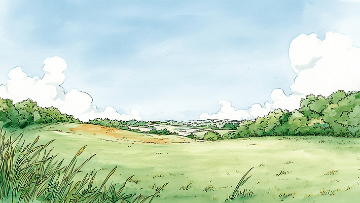 JPG 나무 식물 하늘색 일러스트 자연 하늘 날씨 수채화 풍경 잔디 초원 햇빛 숲 땅 조경 녹지 평원 국내일러스트 AI일러스트 AI콘텐츠 파란색 태양 생태계 파일형식