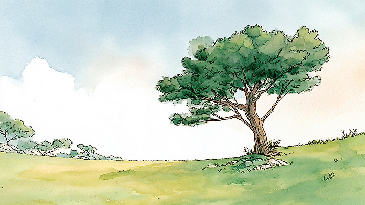 JPG 나무 식물 겨울 일러스트 자연 하늘 생명 수채화 풍경 잔디 초원 일상 여름 햇빛 고요 봄 땅 평지 국내일러스트 AI일러스트 AI콘텐츠 계절 라이프 태양 생태계 파일형식