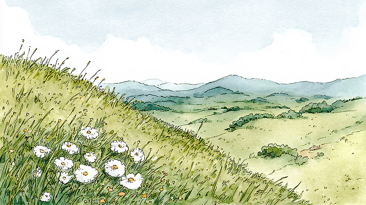 JPG 나무 꽃 컬러 일러스트 자연 하늘 생명 바람 날씨 수채화 산 거리 풍경 초원 여름 땅 언덕 산맥 국내일러스트 AI일러스트 AI콘텐츠 자연요소 식물 계절 생태계 파일형식