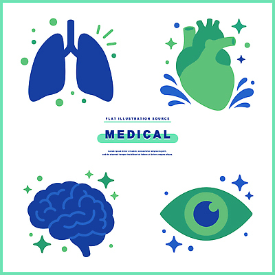 의학 장기_의학 호흡기관 파일형식 벡터 건강 심장 허파 뇌 디자인 그래픽 컬러 표현 해부 AI파일 일러스트 국내일러스트