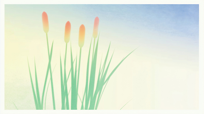 식물 계절 컬러 노을 생태계 파일형식 AI콘텐츠 자연 하늘 일출 일몰 초원 여름 환경 초록색 싱그러움 생명 풍경 시간 수중식물 일러스트 국내일러스트 JPG 꽃 AI일러스트