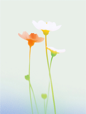 식물 계절 꽃 컬러 컨셉 취미 생태계 냄새 파일형식 AI콘텐츠 봄 백그라운드 자연 화초 꽃잎 줄기 나란히 뷰티풀 생명 향기 초록색 꽃밭 화사함 차분 원예 일러스트 국내일러스트 JPG AI일러스트