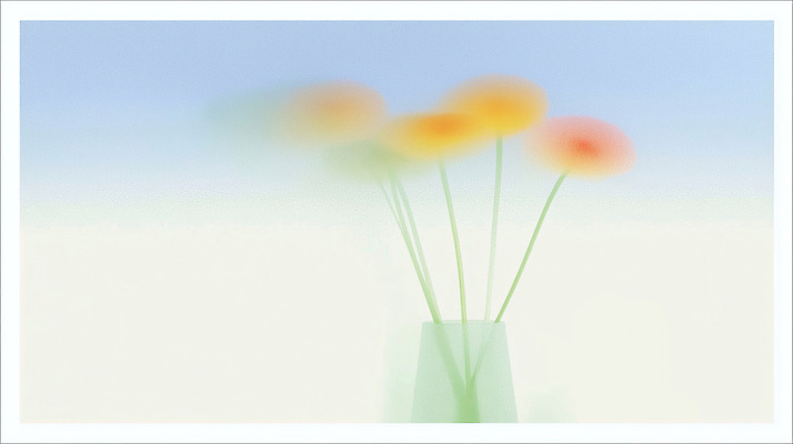 JPG 식물 디자인 꽃 화초 예술 컬러 꽃다발 백그라운드 일러스트 자연 하늘 생명 바람 유리병 미술 풍경 일상 축제 흔들림 뷰티풀 국내일러스트 자연요소 모션 병_용기 날씨 문화예술 라이프 생태계 파일형식