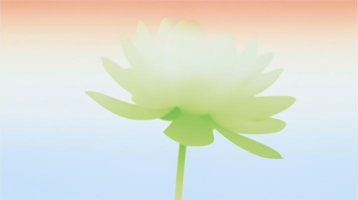 자연요소 식물 계절 꽃 컬러풀 태양 감각 생태계 파일형식 AI콘텐츠 연꽃 백그라운드 무지개색 일과 시작 자연 부드러움 여름 컬러 공간 생명 물 뷰티풀 햇빛 하늘 일러스트 국내일러스트 JPG AI일러스트