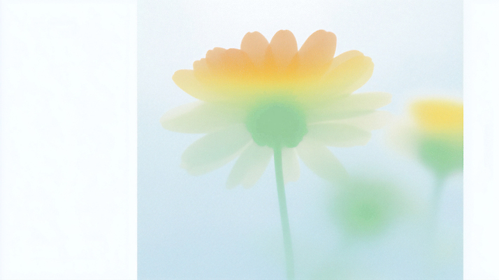 식물 계절 컬러 라이프 생태계 파일형식 AI콘텐츠 꽃 자연 노란색 초록색 백그라운드 일상 풍경 봄 생명 화초 뷰티풀 디자인 촬영 잎 줄기 일러스트 국내일러스트 JPG AI일러스트