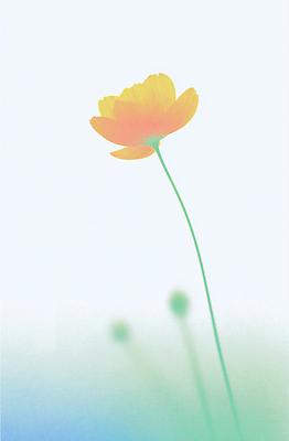 자연요소 식물 계절 컬러 컨셉 날씨 태양 생태계 파일형식 AI콘텐츠 꽃 자연 줄기 노란색 백그라운드 생명 봄 햇빛 뷰티풀 여름 바람 잎 풍경 소중 성장 일러스트 국내일러스트 JPG AI일러스트