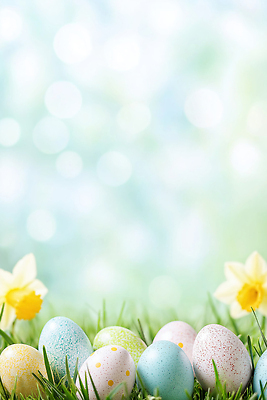 JPG 식물 편집이미지 전통 기념일 꽃 컬러 백그라운드 가족 자연 부활절 이벤트 잔디 야외 장식 노란색 계란 축제 봄 즐거움 부활절계란 장면 주말 부활 수선화 이미지편집 AI일러스트 AI콘텐츠 계절 감정 관계 알 생태계 파일형식