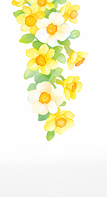JPG 식물 디자인 꽃잎 꽃 화초 예술 컬러 백그라운드 잎 일러스트 자연 미술 장식 노란색 정원 봄 성장 흰색 배열 화사함 수선화 뷰티풀 카피스페이스 국내일러스트 AI일러스트 AI콘텐츠 계절 컨셉 문화예술 공백 생태계 파일형식