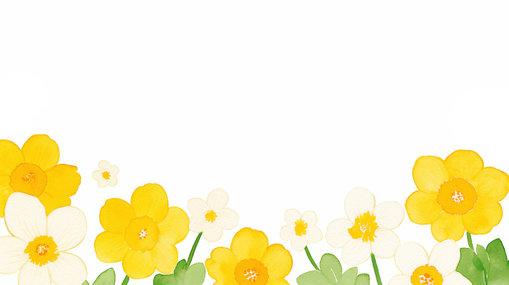 JPG 식물 디자인 꽃 예술 백그라운드 잎 일러스트 자연 생명 수채화 장식 노란색 봄 흰색 꽃집 원예 수선화 조화 뷰티풀 카피스페이스 국내일러스트 AI일러스트 AI콘텐츠 계절 컬러 취미 상점 공백 생태계 파일형식