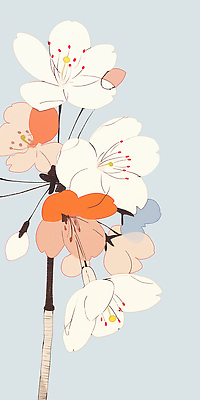 JPG 나무 식물 디자인 꽃 예술 분홍색 컬러 백그라운드 일러스트 자연 생명 실내 장식 봄 벚꽃 흰색 그림 화사함 뷰티풀 국내일러스트 AI일러스트 AI콘텐츠 계절 컨셉 내부 생태계 파일형식