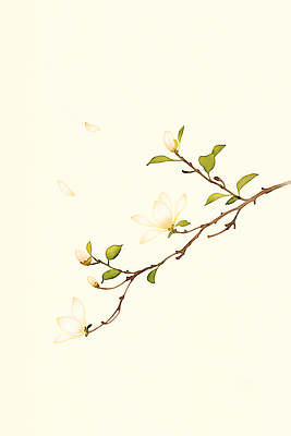 주간 식물 계절 꽃 컨셉 사람 태양 생태계 파일형식 AI콘텐츠 꽃잎 나무 자연 봄 햇빛 여자 뷰티풀 뿌리 성장 아침 조화 변화 정원 예술 일러스트 국내일러스트 JPG 수채화 목련 AI일러스트