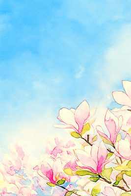 식물 계절 꽃 감정 다수 사람 태양 야외활동 생태계 목련 파일형식 AI콘텐츠 자목련 봄 자연 꽃잎 꽃봉오리 여러명 즐거움 풍경 뷰티풀 햇빛 나무 잎 감상 소풍 일러스트 국내일러스트 JPG 수채화 AI일러스트