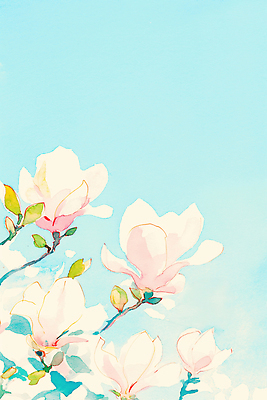 식물 계절 꽃 컬러 라이프 생태계 파일형식 AI콘텐츠 목련 분홍색 하늘 봄 자연 꽃잎 풍경 일상 뷰티풀 장면 잎 꽃밭 생명 일러스트 국내일러스트 JPG 수채화 AI일러스트