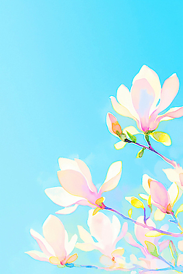 식물 계절 꽃 풍경 나뭇가지 생태계 파일형식 AI콘텐츠 목련 봄 만개 자연 꽃잎 컬러 날씨 따뜻함 꽃가지 뷰티풀 생명 하늘 경관 일러스트 국내일러스트 JPG 수채화 AI일러스트