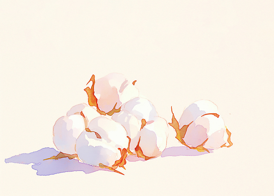 식물 꽃 산업 컬러 컨셉 농업 곡류 직물 생태계 파일형식 AI콘텐츠 자연 농사 씨앗 흰색 깨끗함 보리 들꽃 패브릭 섬유 농장 수확 재료 환경 노출 JPG 일러스트 국내일러스트 솜 AI일러스트