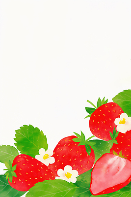 식물 계절 컬러 농업 과일 생태계 파일형식 AI콘텐츠 딸기 꽃 잎 그림 백그라운드 생명 자연 빨간색 장면 신선 이미지 정원 농장 수확 봄 여름 색채 일러스트 국내일러스트 JPG AI일러스트