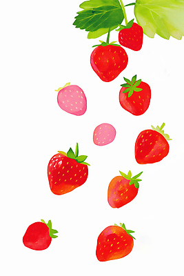 컬러 컨셉 농업 과일 취미 생태계 파일형식 AI콘텐츠 딸기 신선 건강 떨어짐 흰색 백그라운드 종류 크기 자연 식물 원예 그림 농사 수확 음식 맛 일러스트 국내일러스트 JPG AI일러스트