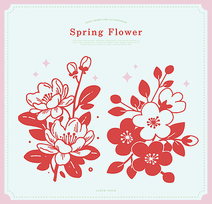 식물 디자인 꽃잎 예술 컬러 꽃다발 라인일러스트 일러스트 봄꽃 자연 장식 봄 그림 손그림 조화 디지털아트 브랜딩 보테니컬아트 국내일러스트 AI파일 계절 꽃 생태계 파일형식 벡터