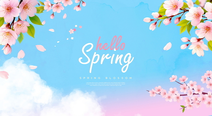 PSD 나무 편집이미지 계절 꽃잎 꽃 분홍색 백그라운드 자연 하늘 풍경 파란색 새싹 봄 화사함 뷰티풀 봄배경 이미지편집 식물 컬러 컨셉 생태계 파일형식