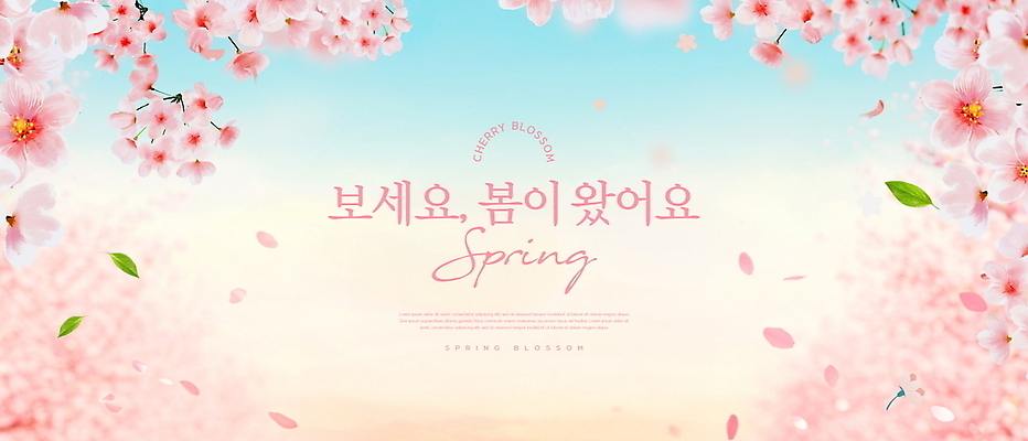 PSD 나무 편집이미지 계절 공원 꽃잎 꽃 자연 하늘 사람 풍경 봄 벚꽃 즐거움 만개 뷰티풀 봄배경 이미지편집 식물 공공시설 감정 백그라운드 생태계 파일형식